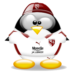 penguin pingouin pinguino 557